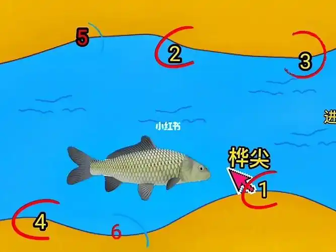 户外河流野钓钓位的选择技巧