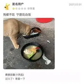 跪求饭难吃的表情包or图