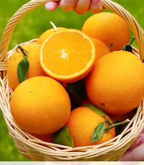 精选生鲜湖北秭归新鲜橙子高山脐橙现摘应季酸甜孕妇水果359斤礼盒10