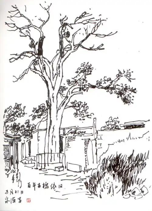 魏全海 老院百年古槐