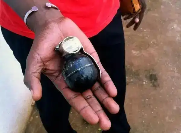 那挂在解放军脖子里的手雷是啥?_手榴弹