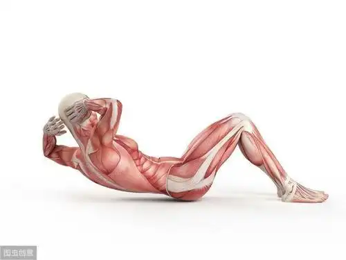 4个不同的仰卧起坐动作挑战你的腹肌,3组训练暴汗燃脂瘦肚腩