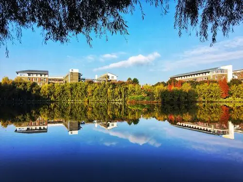 秋色校园云南师范大学校园秋色