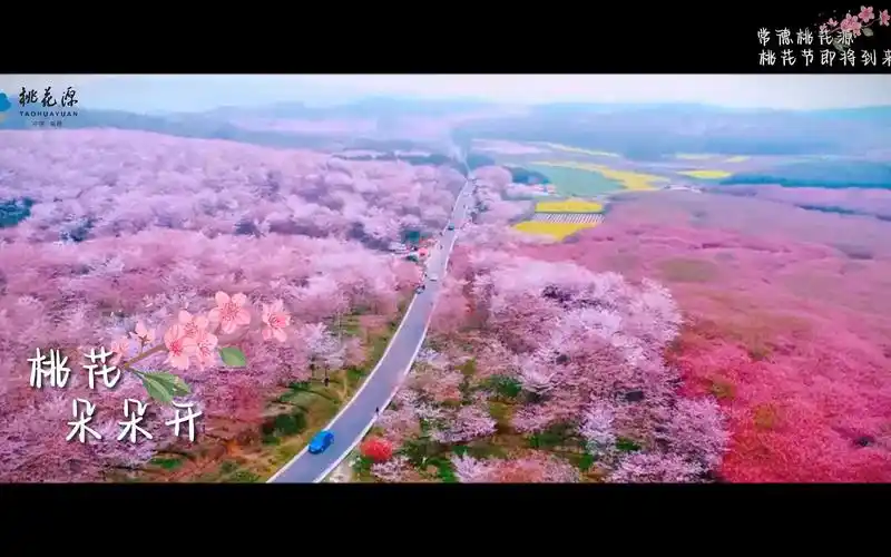 3月桃花开,常德桃花源景区即将迎来梦幻观赏期