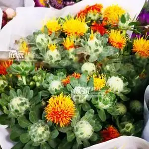 橙色菠萝季节性鲜花材菠萝菊花期长小可爱可做干花家用水养瓶插花