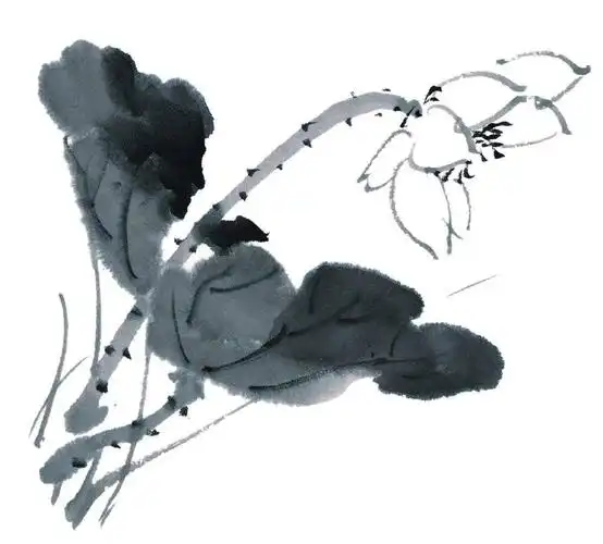 墨荷· 国画大赏