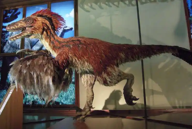 p>恐爪龙(学名:deinonychus)是 a href="#" data-lemmaid="6664958">