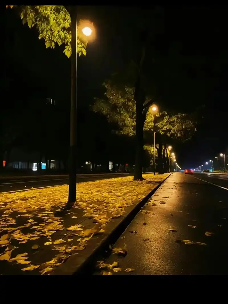 情绪低落时发朋友圈文案 1.可有,可无,可去,可留,取舍之间 - 抖音