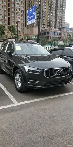 【图】松林灰,油耗惊人_沃尔沃xc60论坛_汽车之家论坛