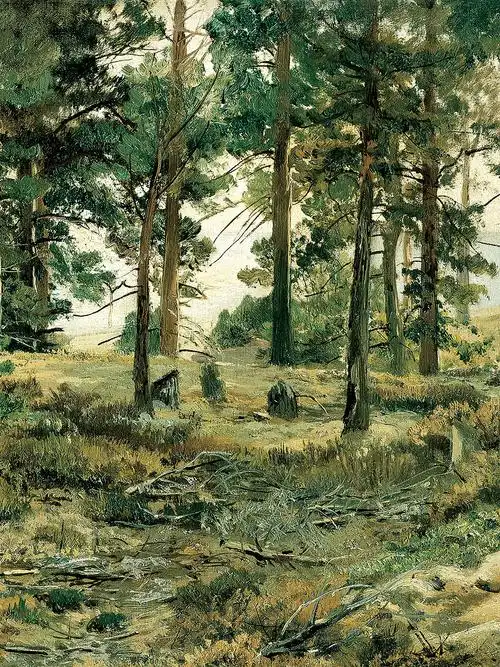 我的一幅风景油画习作《小树林》