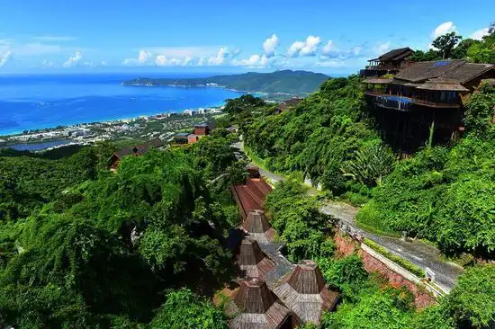 暑假期间 亚龙湾人间天堂鸟巢度假村人气回升_新浪海南_新浪网