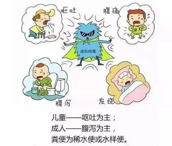 【健康科普】"诺如病毒"防控知识宣传