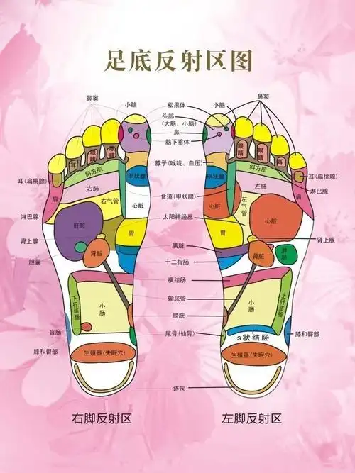 脚底穴位图解大全及按摩方法,快来一起学习下吧!