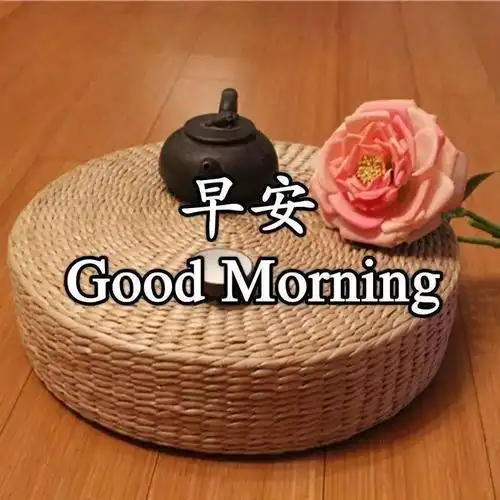 秋季非常漂亮美景早上好动态图片好看的玫瑰花闪动图片大全