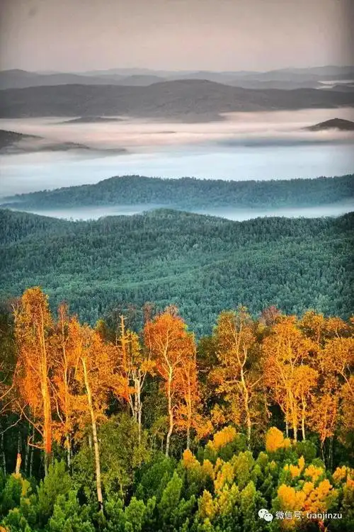 中国最美的50个秋景,去过20个就算旅行达人,这几个离天津不远,你去过
