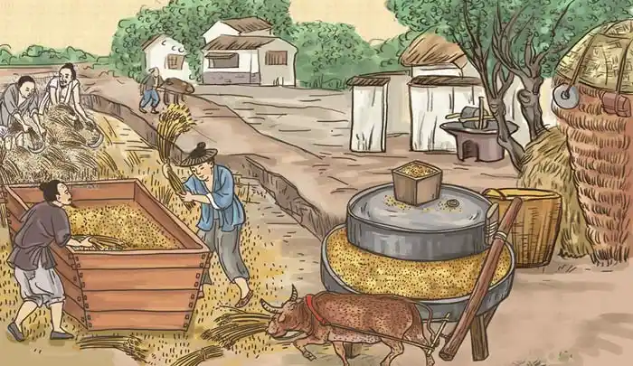 石磨面粉与普通面粉的区别