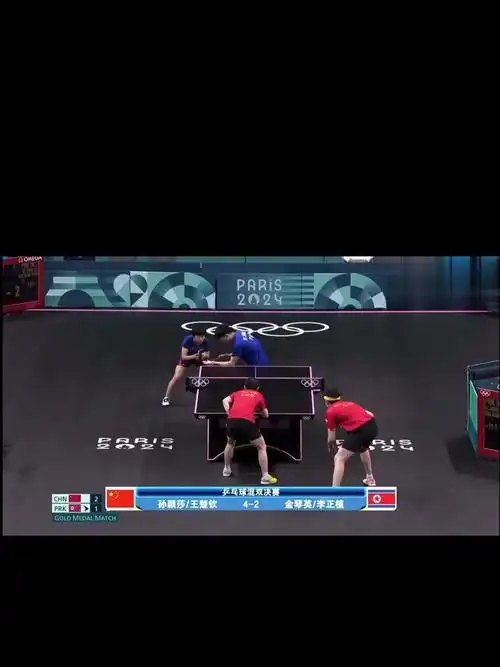 乒乓球 这是莎头拼了命夺回的金牌,巴黎奥运会混双决赛集锦