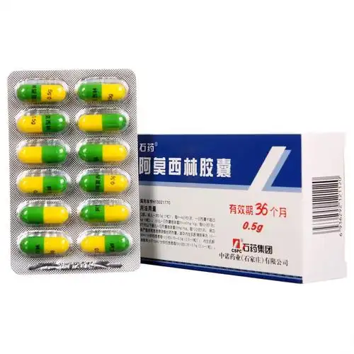 石药 阿莫西林胶囊 0.