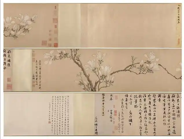 文徵明《白玉兰图》卷