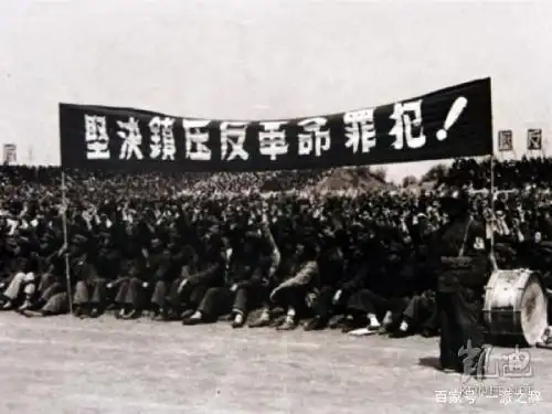 而镇反运动所针对的对象主要是"土匪,恶霸,特务,反动党团,反动会道门"