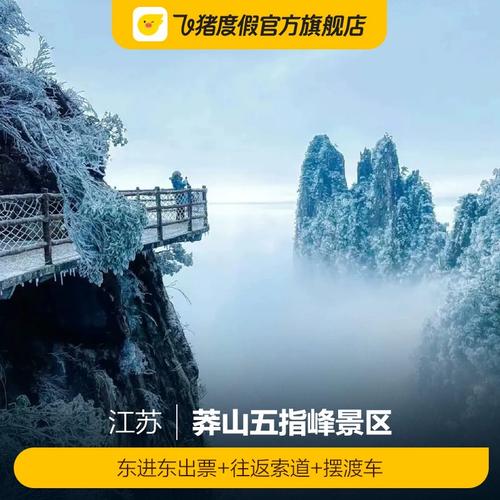 [莽山五指峰景区-东进东出票 往返索道 摆渡车]门票