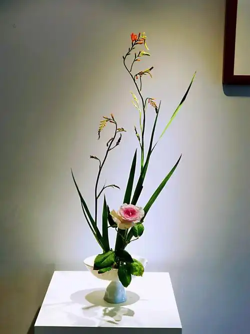 日本小原流派花道小课堂#插花培训  #点缀生活的鲜花  #麗枫花道  #小