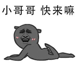 斗图金管长小哥哥快来嘛gif动图