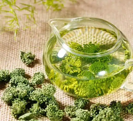 三七花茶的功效与作用及禁忌