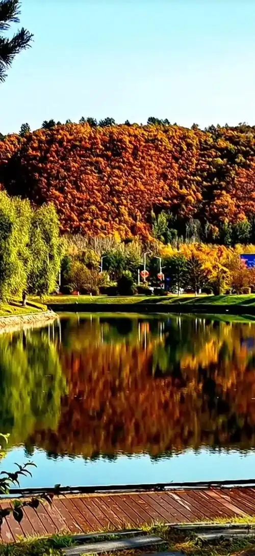 小兴安岭五花山色,秋深打卡地#属于秋天的颜色 #风景如画的地 - 抖音