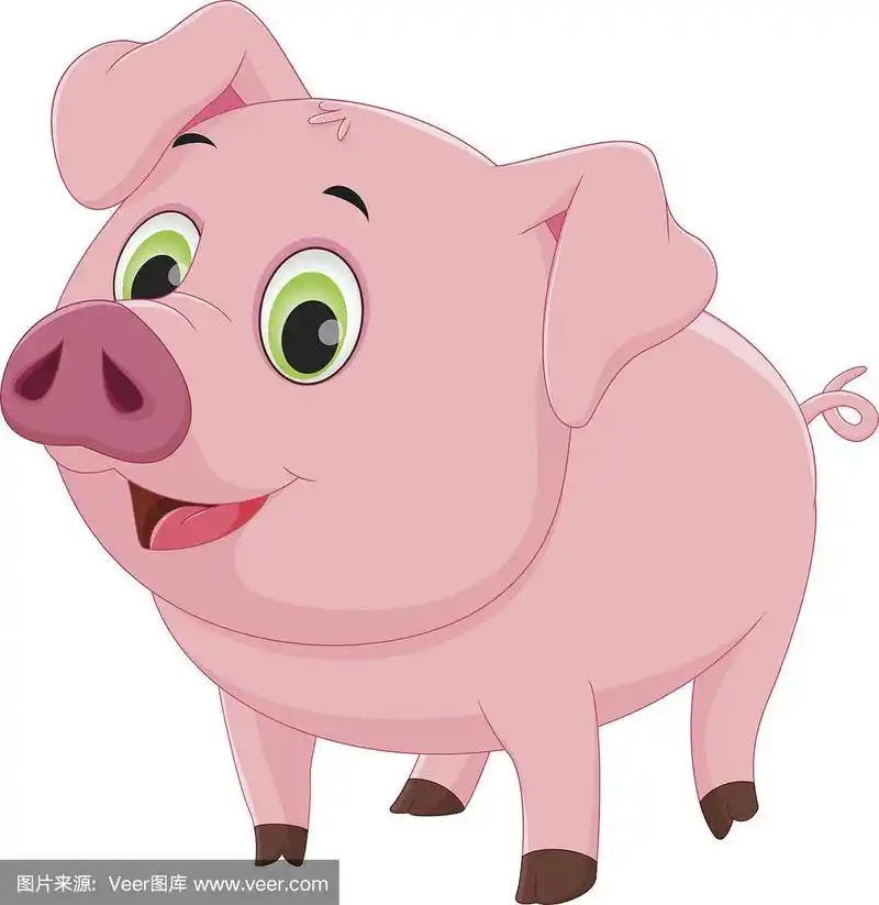可爱小猪卡通