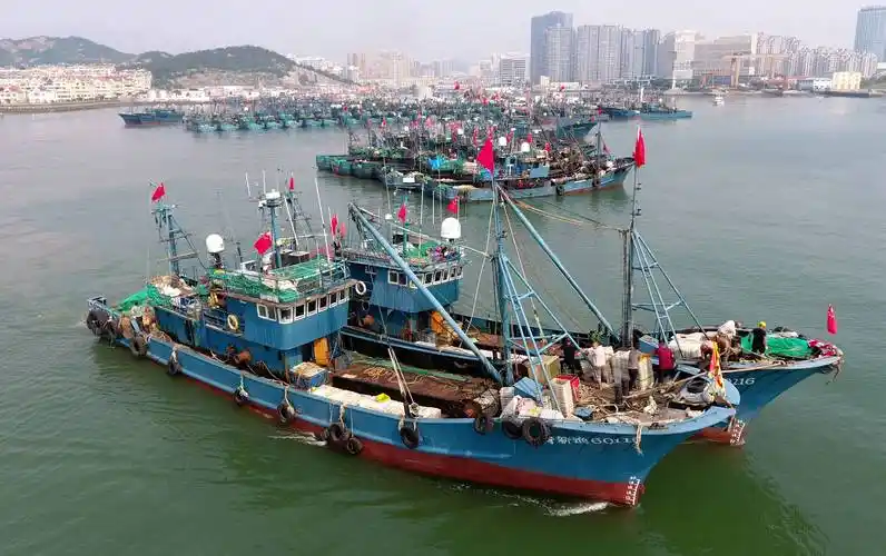(新华全媒 )黄渤海伏季休渔结束 千船竞发耕蓝海_渔港_山东省_渔船