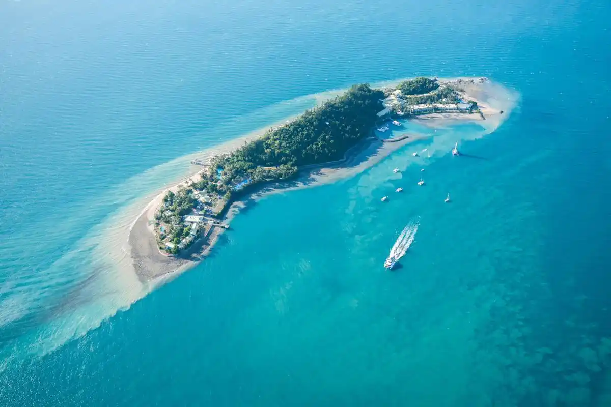 世界上最大的海,面积比半个中国还要大,却被称为"鲨鱼海"!