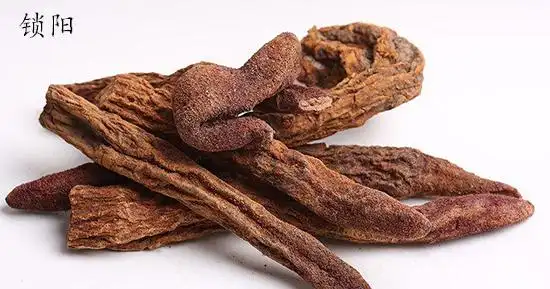 滋补作用有所区别,并且肉苁蓉的价格要比锁阳的贵很多,所以大家