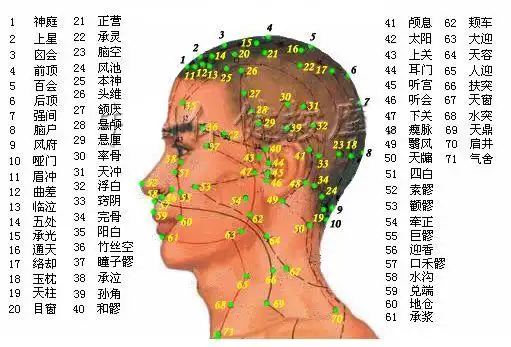 头部侧面穴位图人体穴位图大全按身体部位查询图文