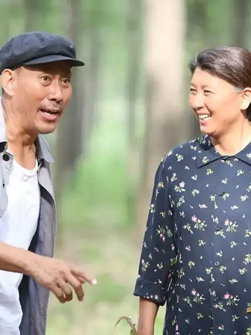 兰桐花开dvd版普通话