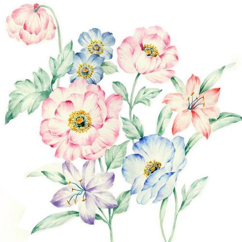 p110手绘水彩花卉花朵植物线稿彩图作品绘画插画漫画设计临摹素材