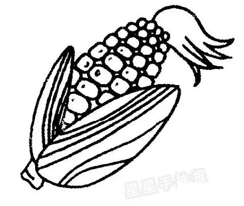 玉米简笔画图片步骤教程-儿童简笔画大全
