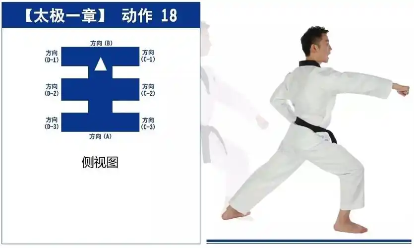 高登跆拳道教育联盟～太极一章图解