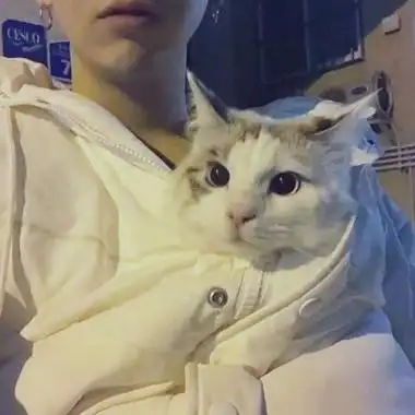 抱猫的男生头像真人