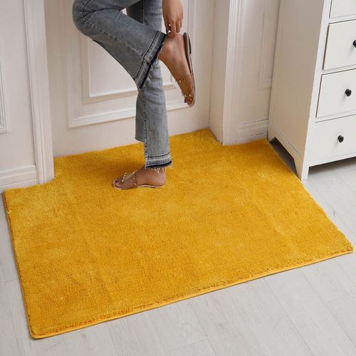evich金色地毯入户门简约进门门口家用防滑吸水浴室客厅满铺换鞋脚踩