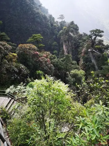 西江月游莽山鬼子寨