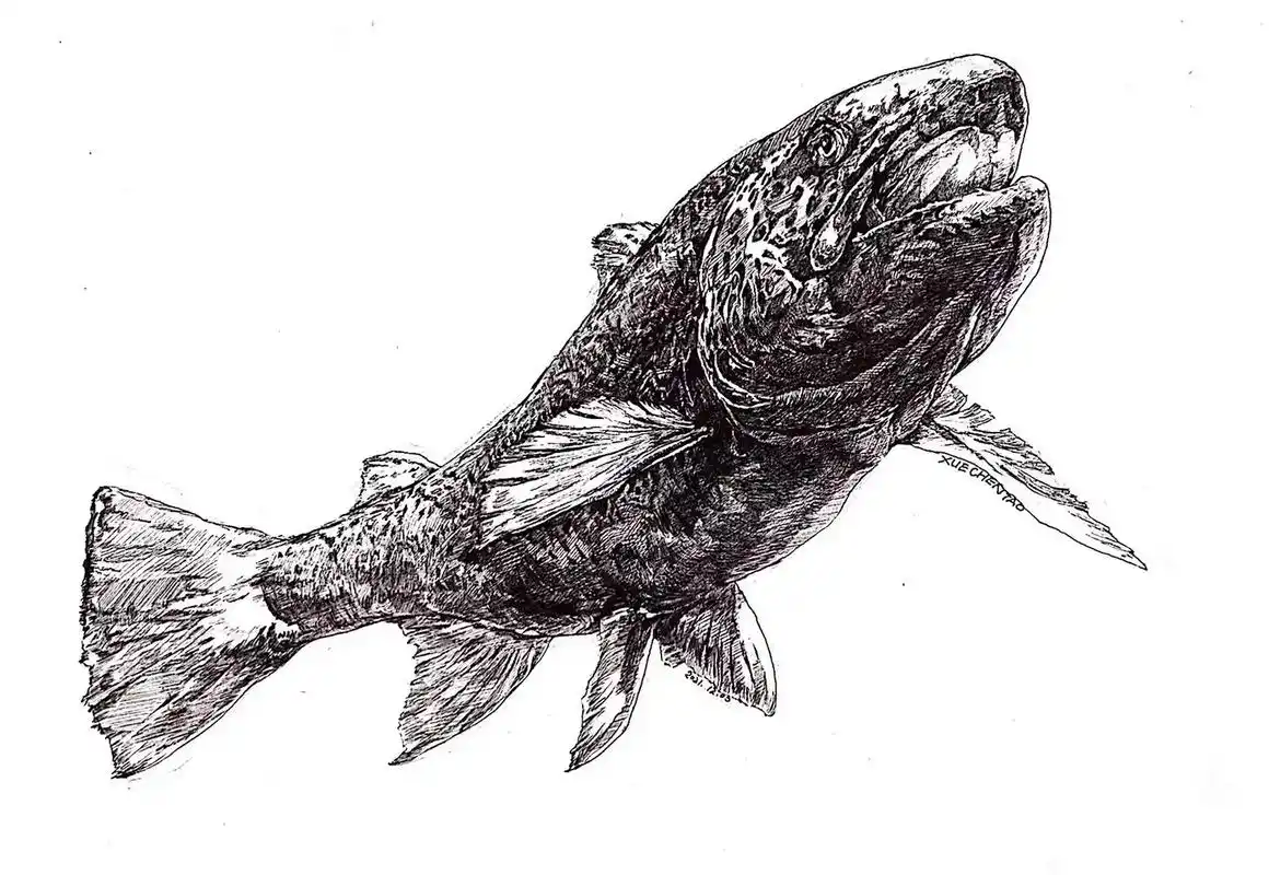 手绘日常瞎画路亚