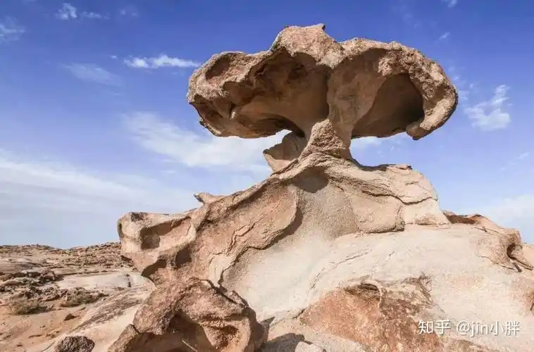 风力侵蚀和风化作用的区别是什么
