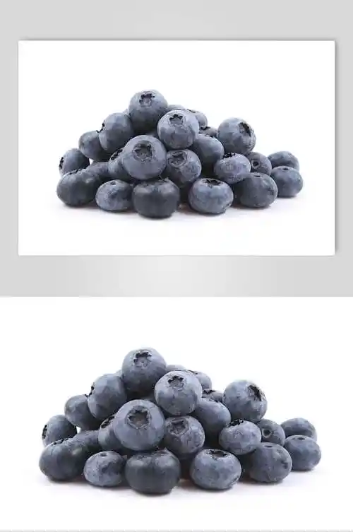 原生态营养健康蓝莓美食实拍图片