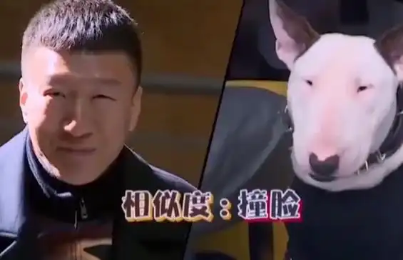 五,孙红雷——黄渤认定的牛头梗