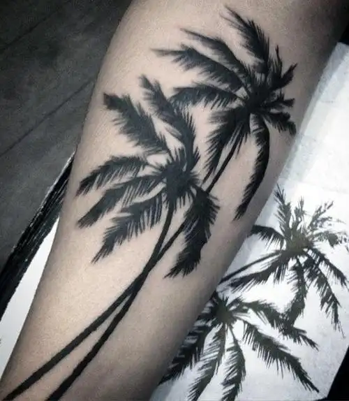 棕榈树纹身图案 清秀挺拔的棕榈树纹身图案(6/9)