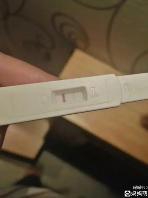 一深一浅居然没怀孕"枝叶扶疏"-第2张图片-华泰博客