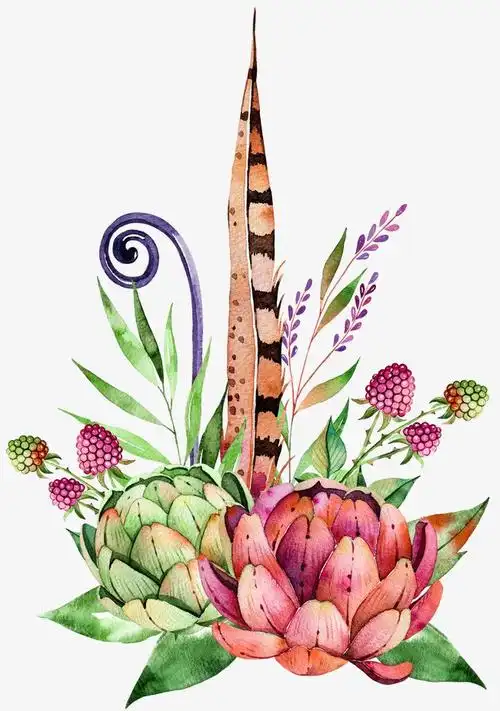 热带植物大叶子插画手绘效果图装饰图【免抠元素png】-90设计网