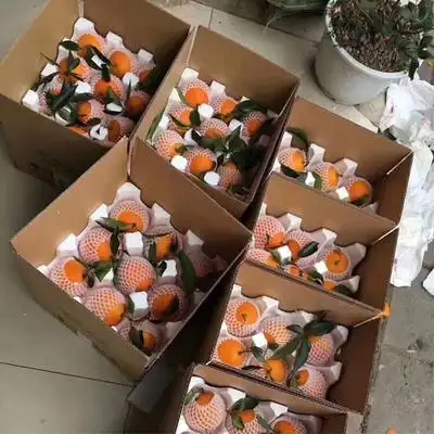 四川爱媛果冻水果当季橘子柑橘整箱桔子手剥孕妇橙