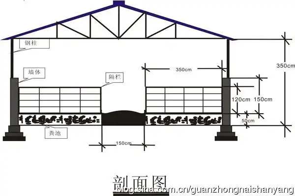标准化羊舍设计图